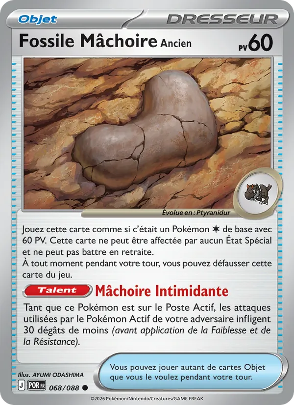 Fossile Mâchoire Ancien